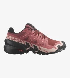 Salomon Women's Speedcross 6 25 Salomon Women's Speedcross 6 -Archery Gear Shop L47301100 4aa9c539946ab572bc5291a4aa8d7ed3 png