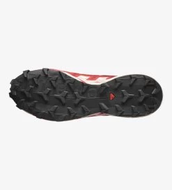 Salomon Speedcross 6 GTX -Archery Gear Shop L47301800 8d5f6053155b184578057a4c927a06e0 png