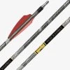 Gold Tip Black Label -Archery Gear Shop gold tip black label 300 fletched colors may vary 1 arrows 131