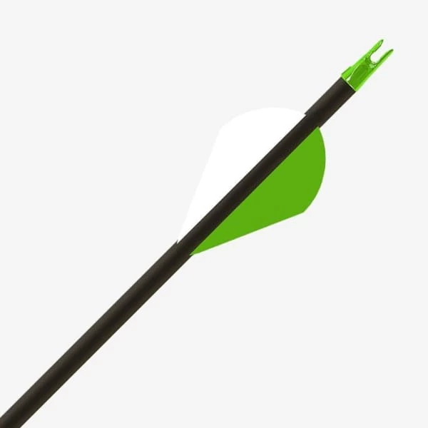 Gold Tip Hunter XT 4 Gold Tip Hunter XT - Image 2