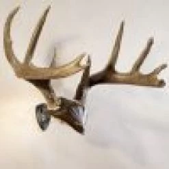 Skull Hooker Bone Bracket/Skull Cap Combo -Archery Gear Shop skull hooker bone bracketskull cap combo archery 413