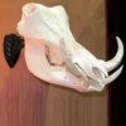 Skull Hooker Little Hooker 17 Skull Hooker Little Hooker -Archery Gear Shop skull hooker little archery 276