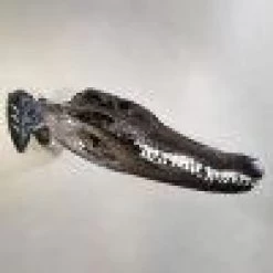 Skull Hooker Little Hooker 14 Skull Hooker Little Hooker -Archery Gear Shop skull hooker little archery 387