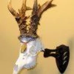 Skull Hooker Little Hooker 15 Skull Hooker Little Hooker -Archery Gear Shop skull hooker little archery 420