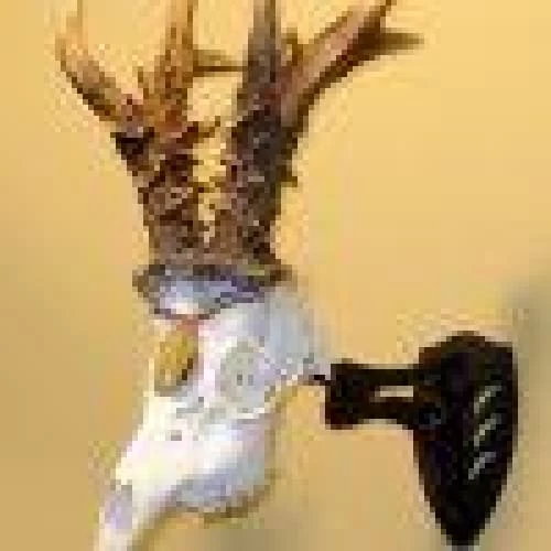 Skull Hooker Little Hooker 7 Skull Hooker Little Hooker - Image 5