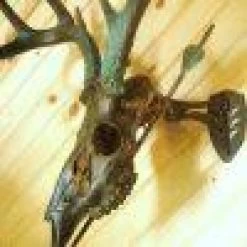 Skull Hooker Little Hooker 19 Skull Hooker Little Hooker -Archery Gear Shop skull hooker little archery 723