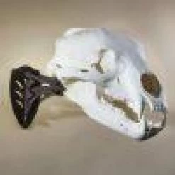 Skull Hooker Little Hooker 13 Skull Hooker Little Hooker -Archery Gear Shop skull hooker little archery 746