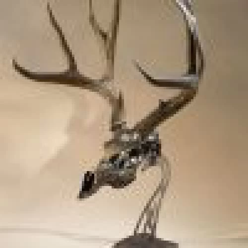 Skull Hooker Table Hooker 8 Skull Hooker Table Hooker - Image 6