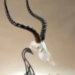 Skull Hooker Table Hooker 13 Skull Hooker Table Hooker -Archery Gear Shop skull hooker table archery 473