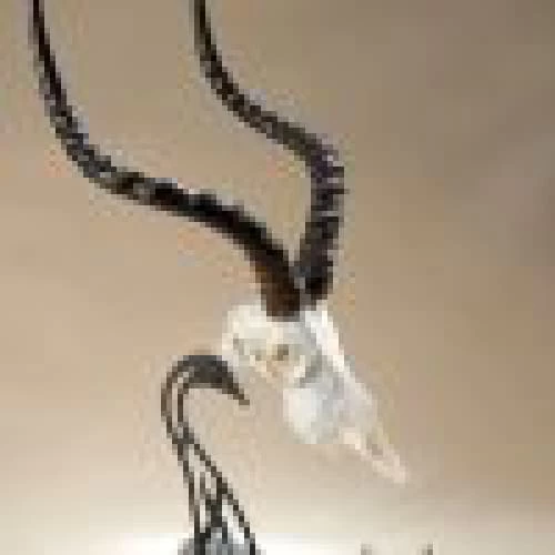 Skull Hooker Table Hooker 6 Skull Hooker Table Hooker - Image 4