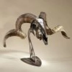 Skull Hooker Table Hooker 16 Skull Hooker Table Hooker -Archery Gear Shop skull hooker table archery 619