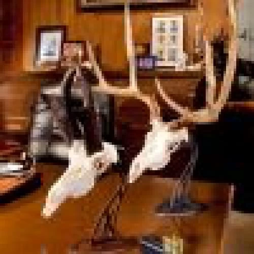 Skull Hooker Table Hooker 4 Skull Hooker Table Hooker - Image 2