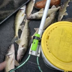 Tactacam Solo Fish-I SALE $120 OFF 9 Tactacam Solo Fish-I SALE $120 OFF -Archery Gear Shop tactacam solo fish i gear 550